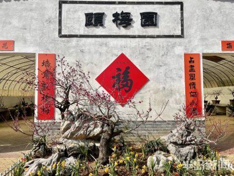 十梅庵今日最新爆料,今日最新爆料揭示惊人内幕 第3张 十梅庵今日最新爆料,今日最新爆料揭示惊人内幕 第3张